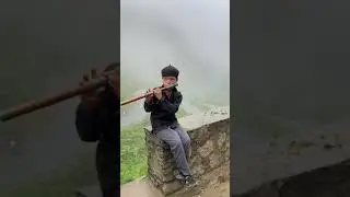 Only in Vietnam 🇻🇳…