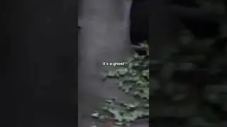 encounter with a ghost horse