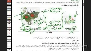 فرض مقترح الفصل الأول علوم 1 ج م ع ت