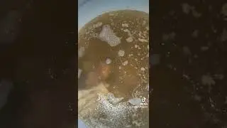 Хаш! 23.02.24. 
