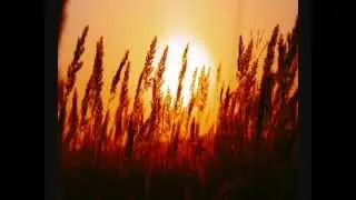 2012 Summer Chillout instrumental (Electro Mix) HD Video