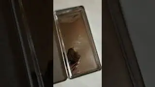 Обзор шоколадки 🍫 за 5000 рублей🤑