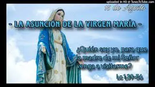 ORANDO EL EVANGELIO - 15-08-23 - P. Manuel Penagos