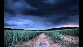 Todd Carey - Movies In Your Head