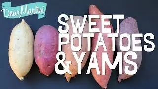 Sweet Potatoes and Yams