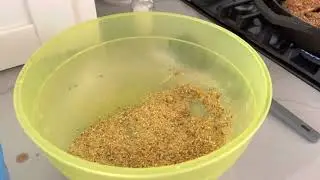 Steven Jenkins Vlog Real Time