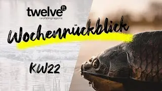 12ft Mag Wochenrückblick KW22 | PB | Laichzeit | CarpSounder | Bissanzeiger | Karpfenangeln