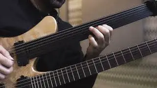 Ambient Loop / fretless guitar