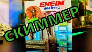 Скиммер для аквариума. Купил для аквариума скиммер EHEIM SKIM 350