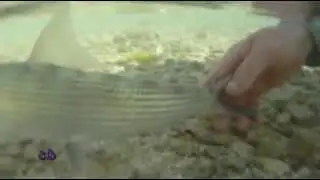 With fly fishing the sea