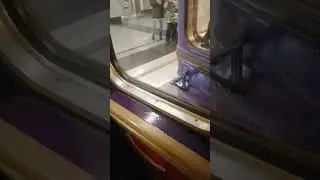 Новогодний ЕЖ3 РУ1 2024 #метро #metro #еж3 #новыйгод #newyear #2024 #романова