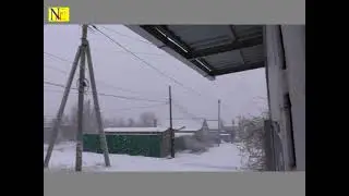 Каприз природы Волгоград 25 03 21