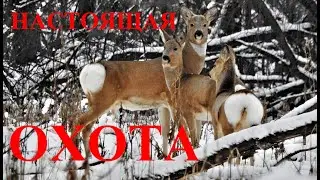 HUNTING AS IT REALLY IS