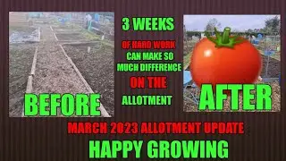 March 2023 Allotment update