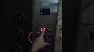 Hypsus elevator