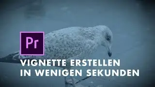 Vignette Effekt Premiere CC 2018 Tutorial Deutsch
