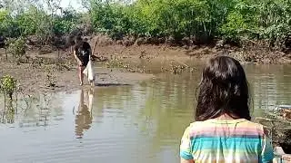 Oyster picking at mangroves in San Juan binalbagan.