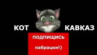Кот Кавказ   Три в одном 3