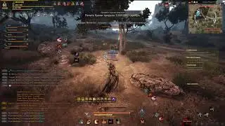 Black Desert немного про осады