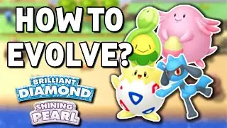 Friendship Evolutions in Brilliant Diamond & Shining Pearl (Friendship grinding)