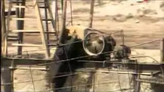 ВЕЛИКАЯ ТАЙНА ВОДЫ!!!