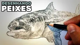 Desenhe PEIXES para aprender Dynamic Sketching, Contour Lines, Gesture e Caustics