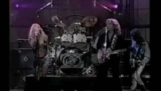 The Zoo - Reach Out