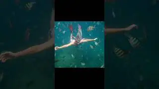 FOTOS QUE VOCÊ VAI PRECISAR OLHAR DUAS VEZES PRA ENTENDER 9 