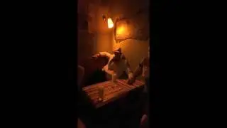 Piss n Spit