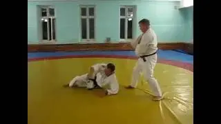 Коте-гаеши