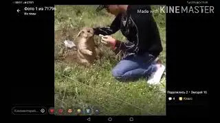 ❤️Доброта ❤️Спасёт МиИР!!! ❤️