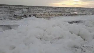 Морько, морько. Солено да горько