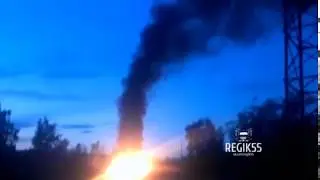 Сжигание зараженных свиней в Омской области