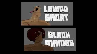 LowPo Sagat and Black Mamba