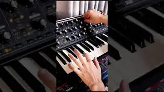 Cozy cozy #shorts #lofi #lofihiphop #moogsub37 #juno106 #dx7 #soul #music #rhodes #synthwave #synth