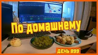 ||ДЕНЬ 899|| Сижу дома. Выздоравливаю.