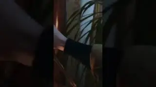15 августа 2024 г.