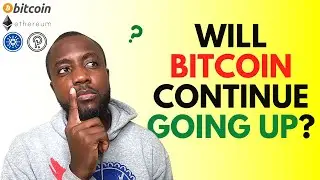 Is the Crypto market ready to start going up | Are the bulls back for bitcoin