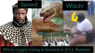 A witch caught red handed & Xposed trying to bewitch KZN Cult church leader Shembe!