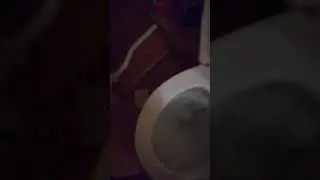 British cunt cleaning the toilet after shiting