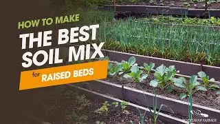 THIS is the Perfect Soil Mix for Raised Beds