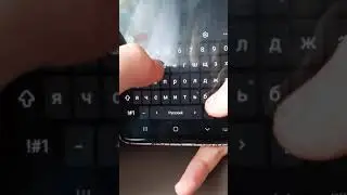 Заказываю разные вещи на WB