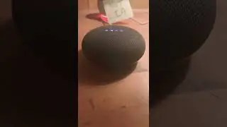 Hey Google, Alexa part of CIA? 