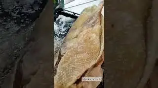 Вяленый гусь в квартире