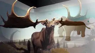 the Last Ice Age: megafauna, Toba, & Neolithic Age