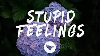220 Kid x LANY - Stupid Feelings (Lyrics)