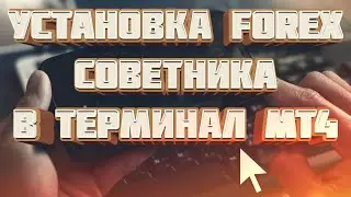 Установка торгового советника в терминал metatrader 4