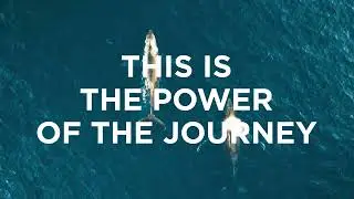 Vestel EV Chargers   Power of the Journey