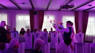 Ведущие  Твой особый день. Свадьба.