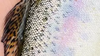 Catching RARE TROUT!!!